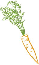 Porkkanauute